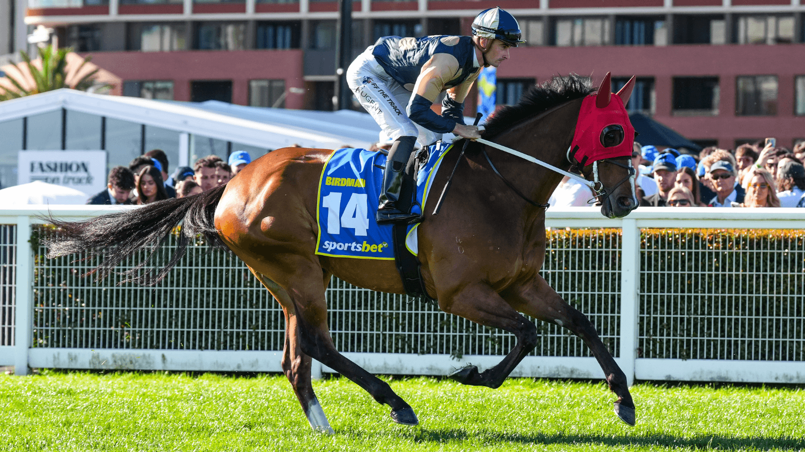 YES or NO: The horses that can win the Australian Cup