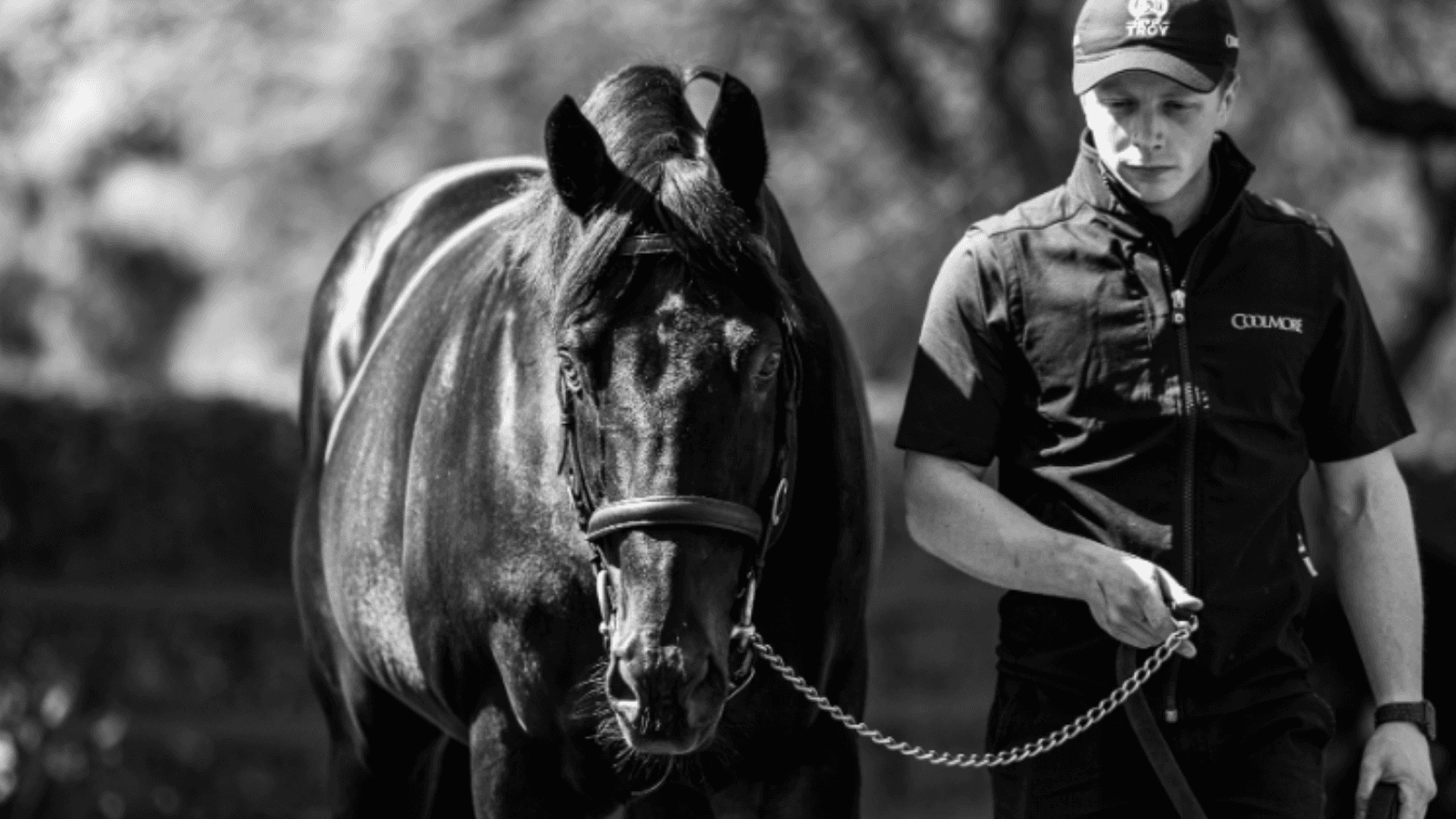 "Horse of dreams": Legendary stallion Wootton Bassett passes away