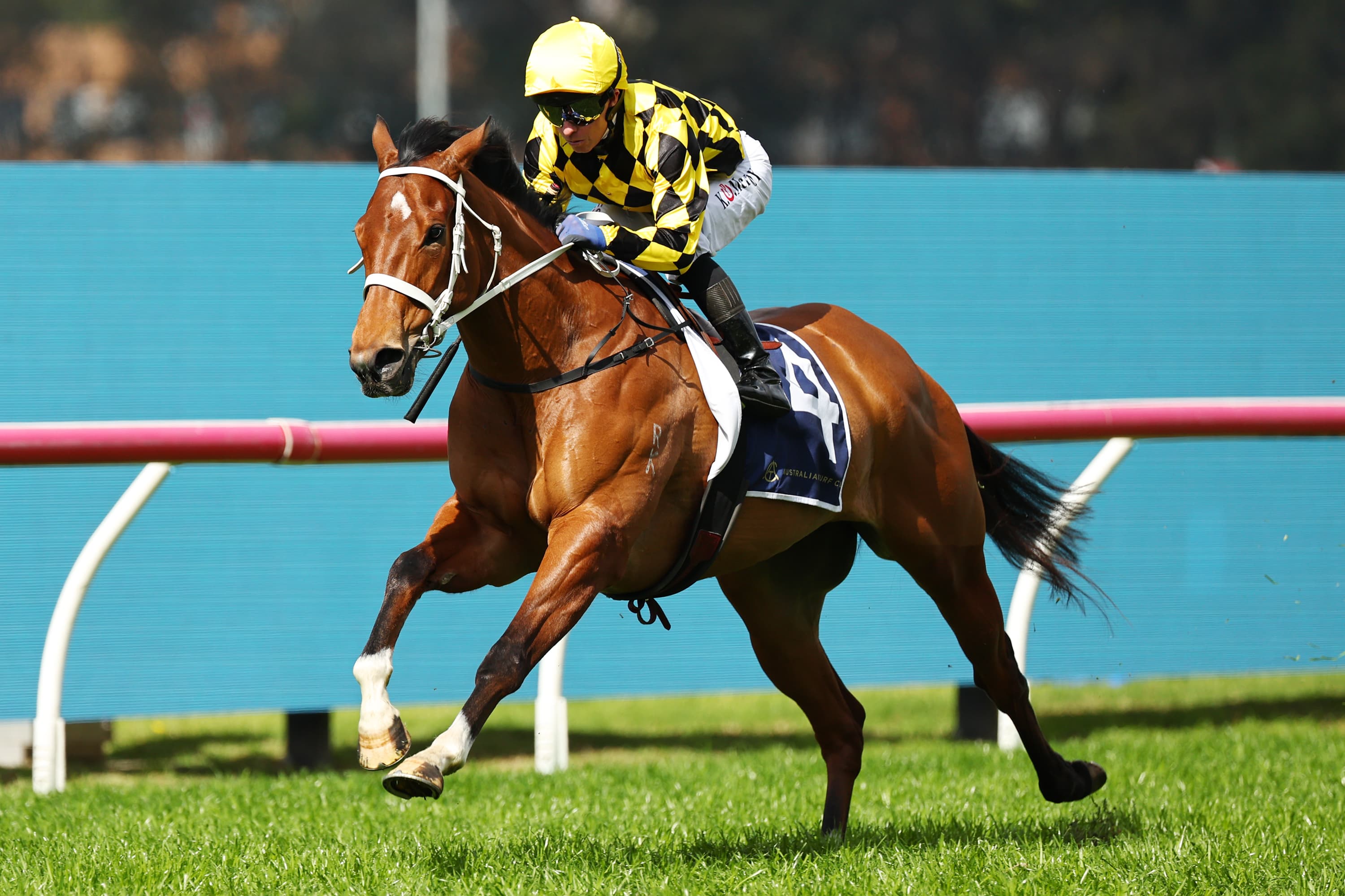 Waller: Autumn Glow eyeing off Royal Ascot campaign in 2027