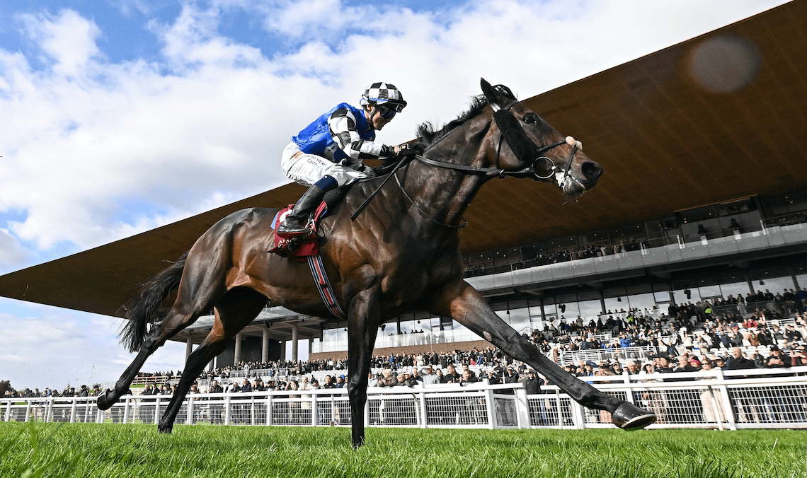 Why it's a mammoth task for Al Riffa to win the Melbourne Cup