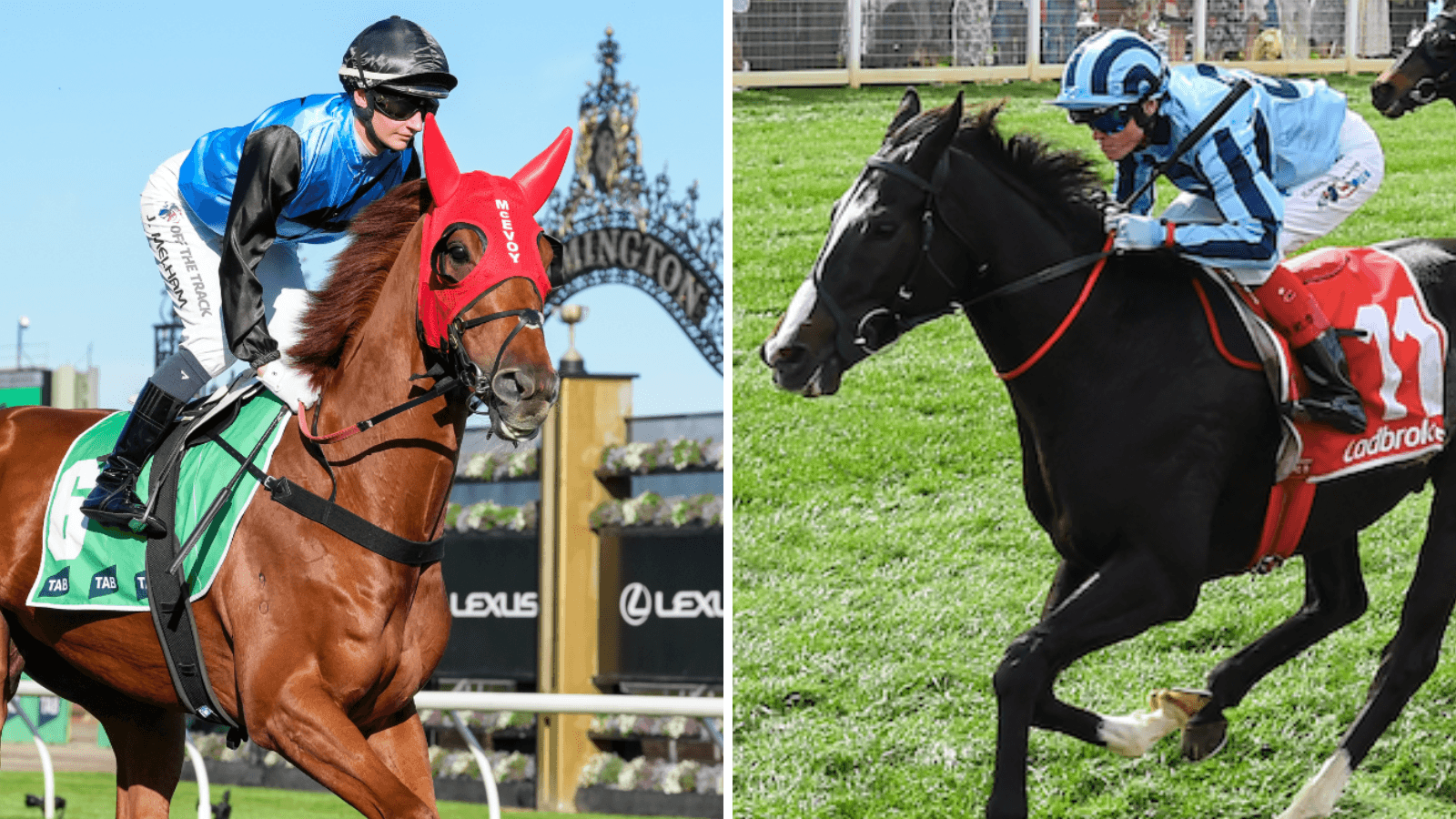 Order of entry: Melbourne Cup hopefuls whittled away to 40