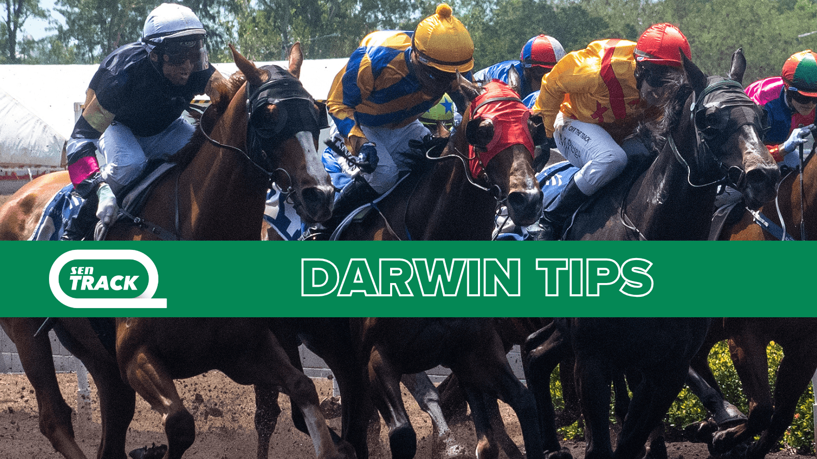 Andrew O’Toole’s Friday best at Darwin (28/11)