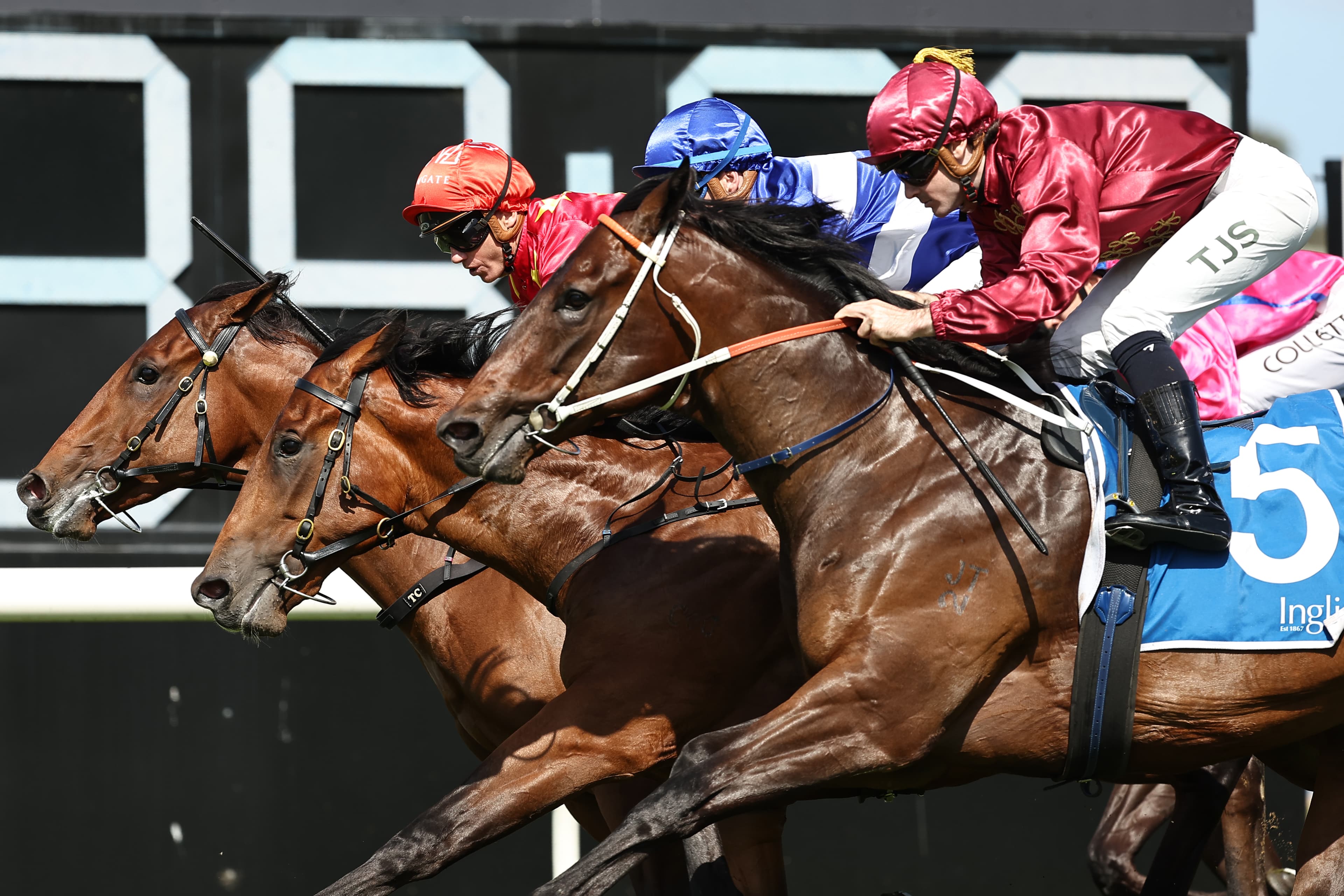 “P---ed off”: Hawkes stable blindsided by Sheikh Fahad