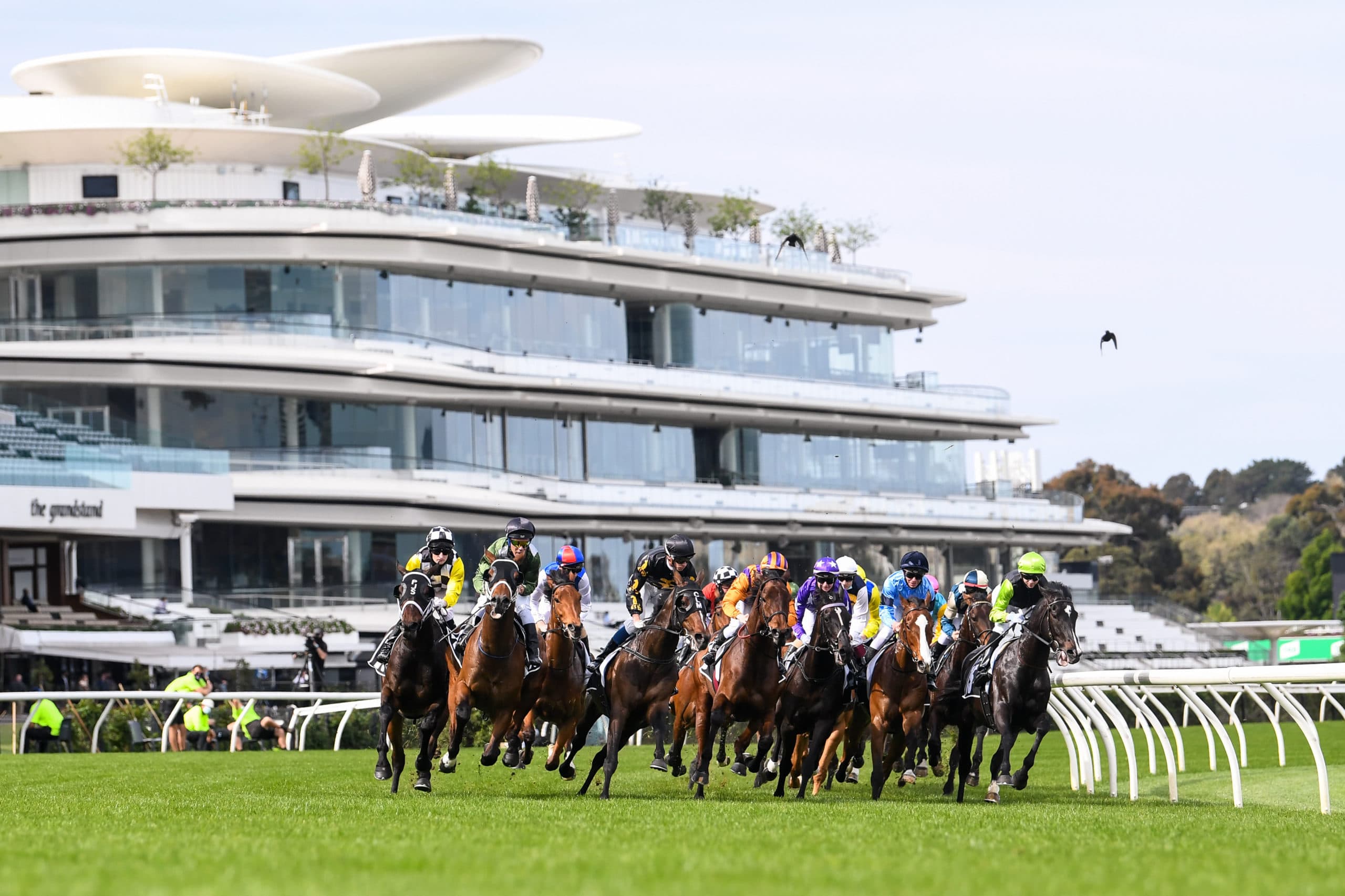 Nic Ashman’s weekend selections - Flemington, Morphettville & Randwick
