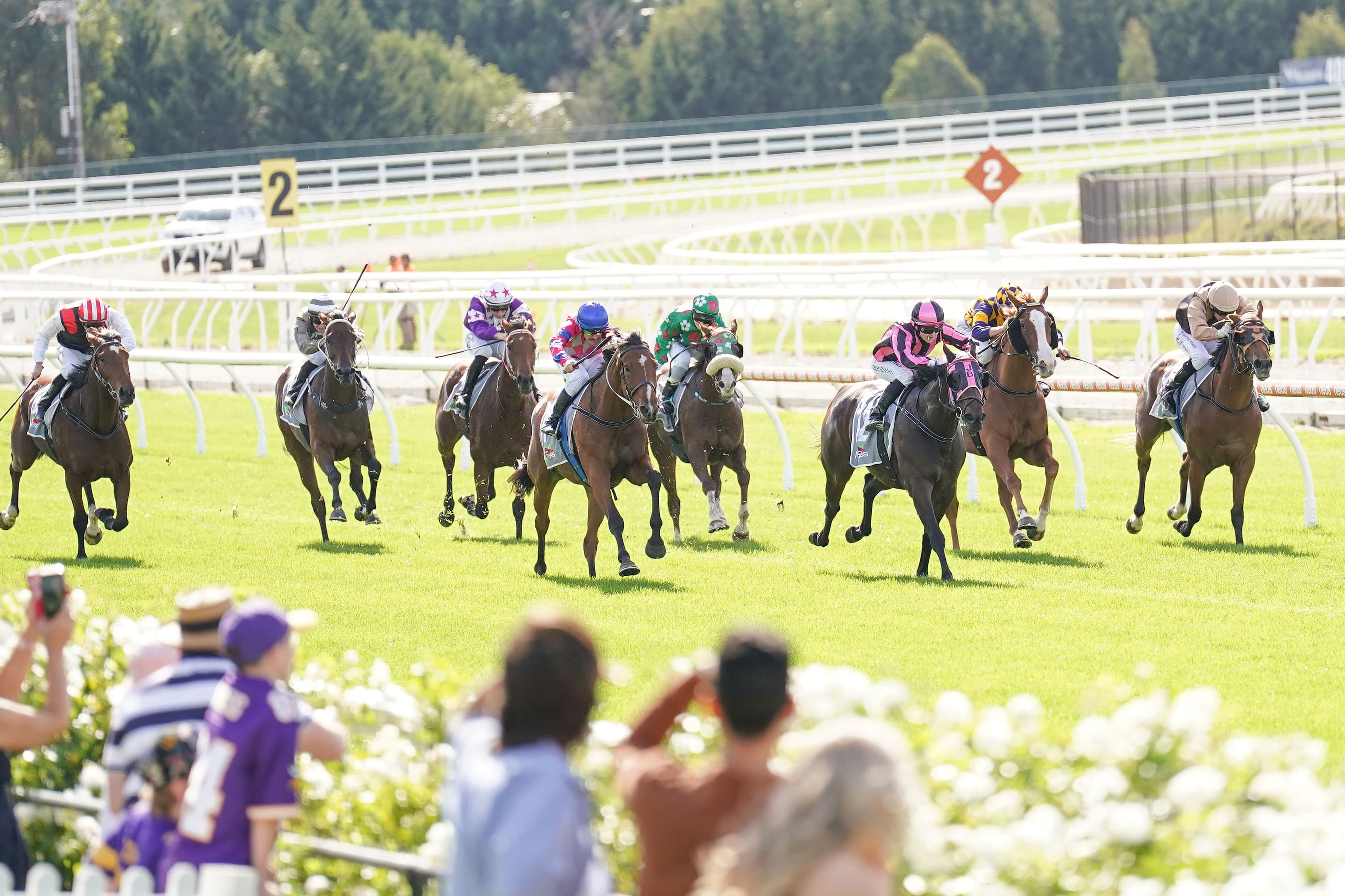 Thursday best bets from Hyland & Pfitzner (25/09)