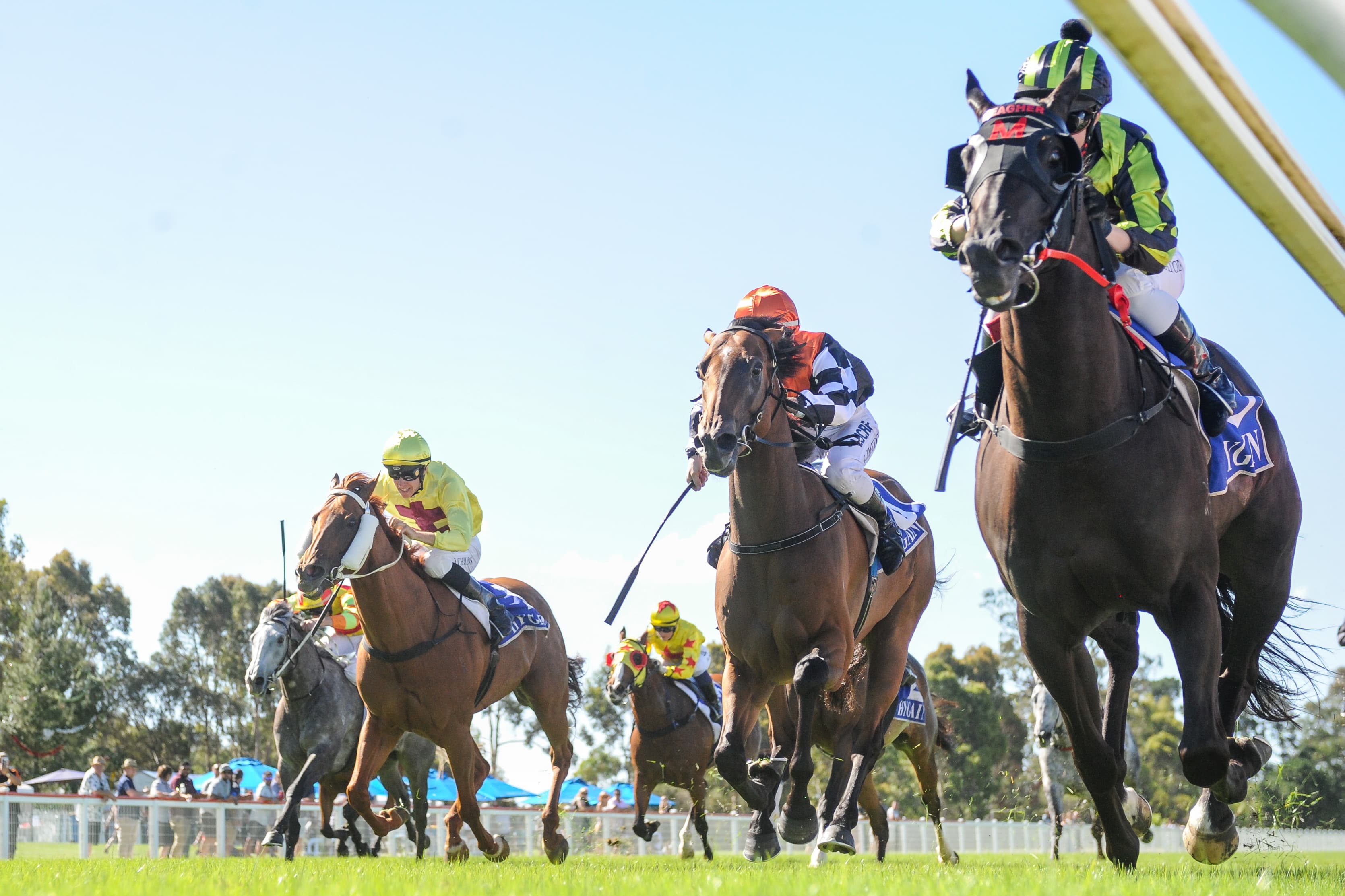 Thursday best bets from Hyland & Gannon (13/11)