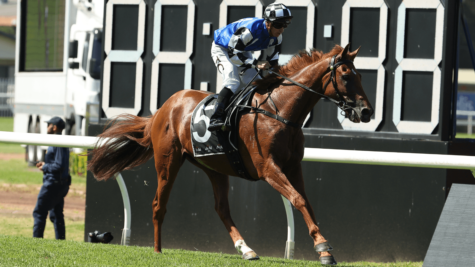 "Winnable": Vauban can win The Metropolitan at tasty odds