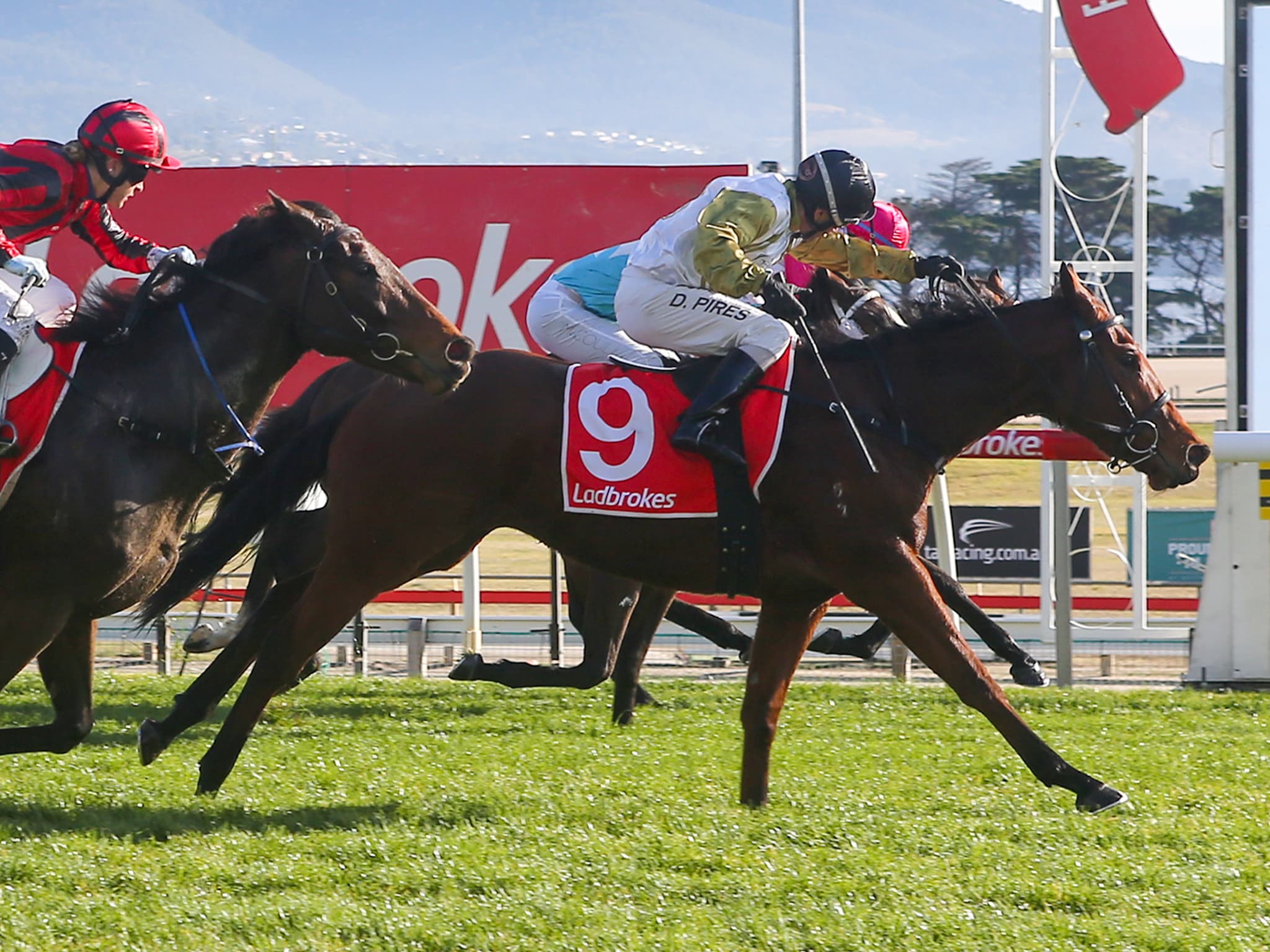 SENTrack: Tasracing’s Wednesday best bets at Launceston (04/12)