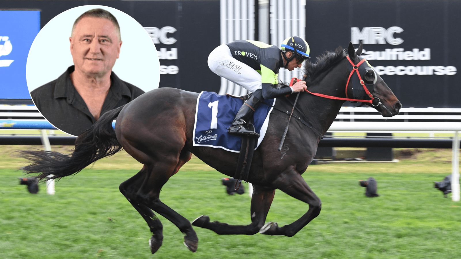 YES or NO: Which horse can win the Pakenham Cup and Supernova