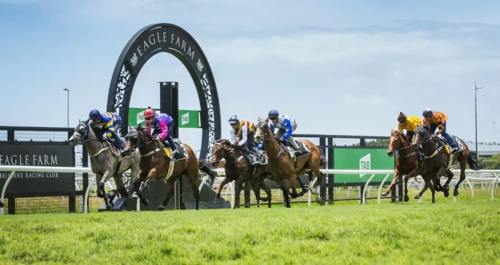 Chris Nelson's Saturday best bets at Eagle Farm & more (11/10)