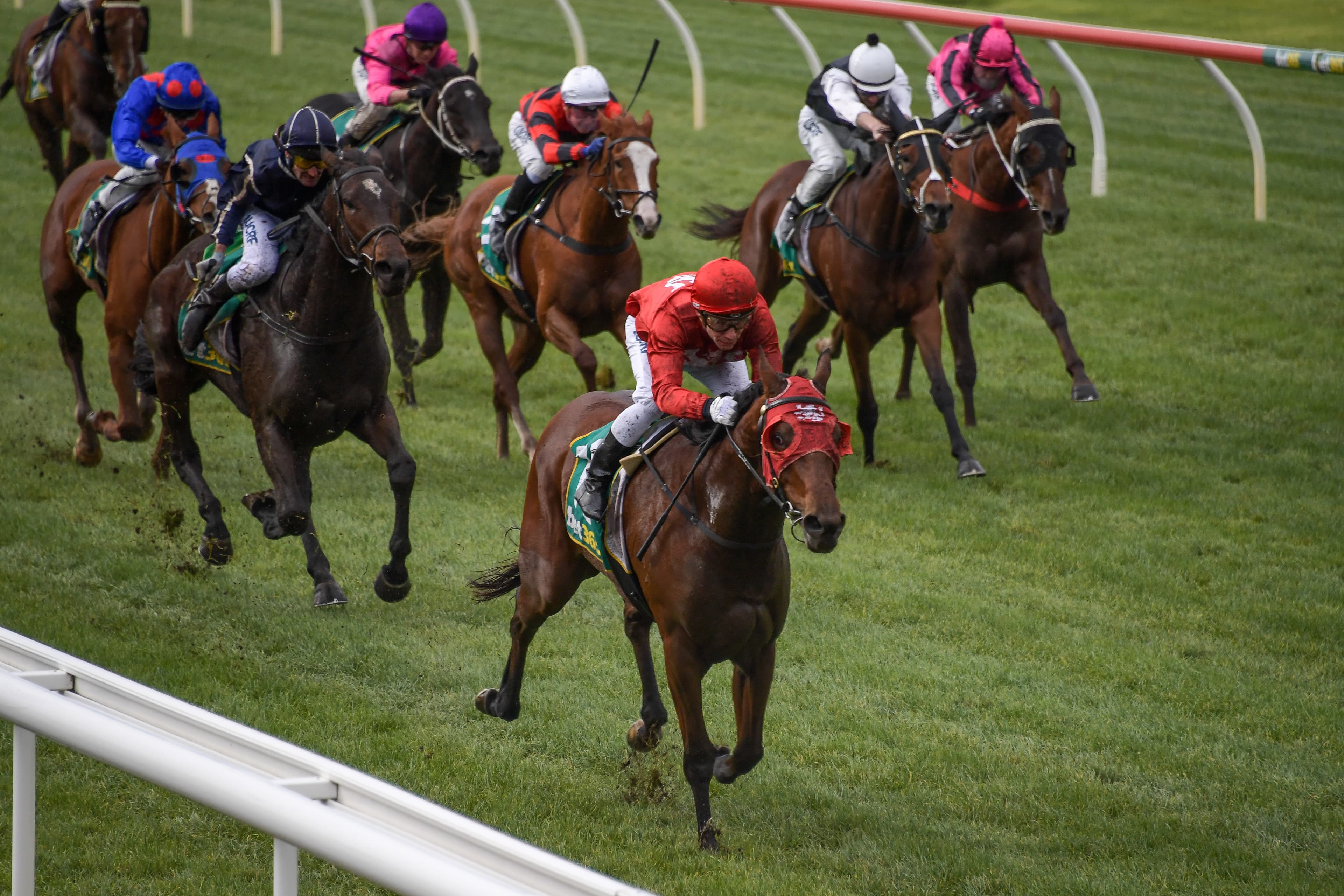 Thursday best bets from Luke & Gannon (23/10)