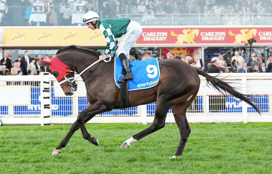 YES or NO: Which horse can win the C.F. Orr Stakes