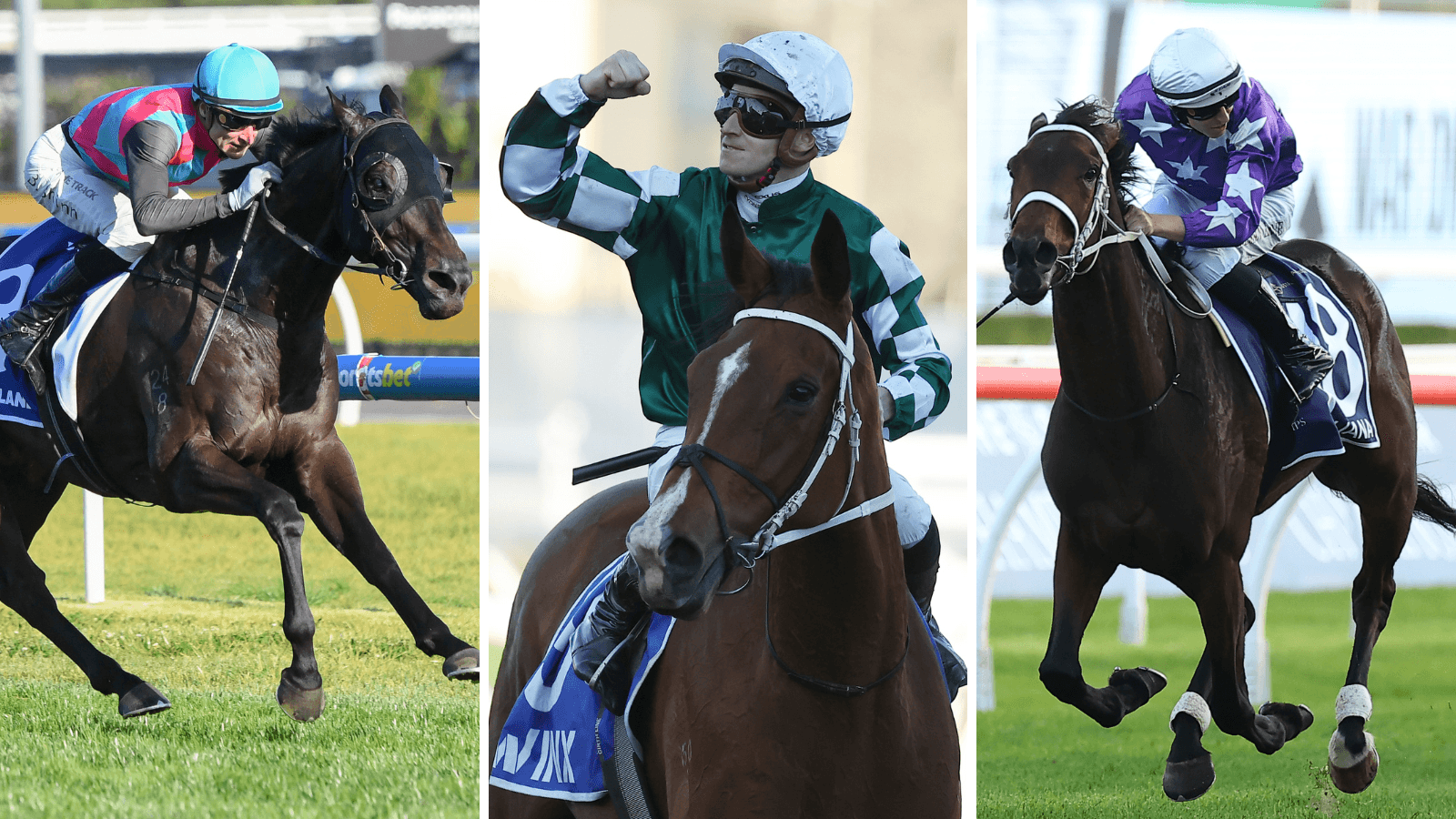 McAvaney: Why this Cox Plate field is “not vintage”