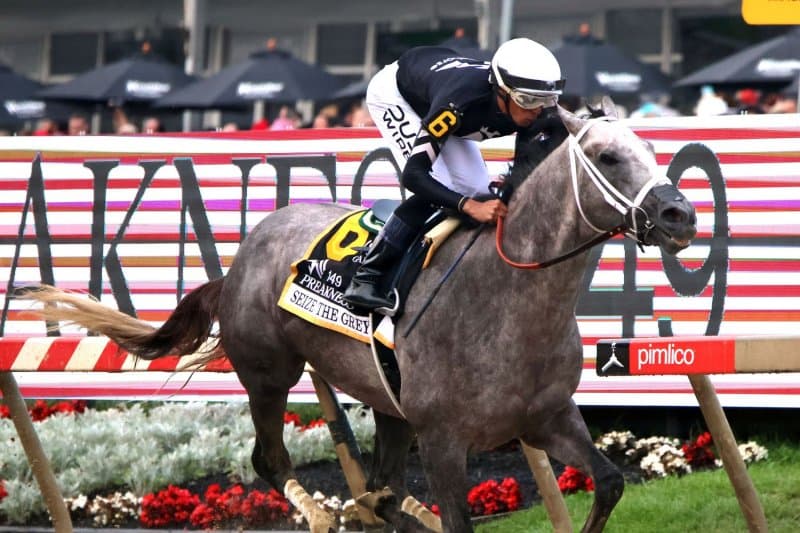 23/9/2024 Horse Racing Tips and Best Bets – Grafton
