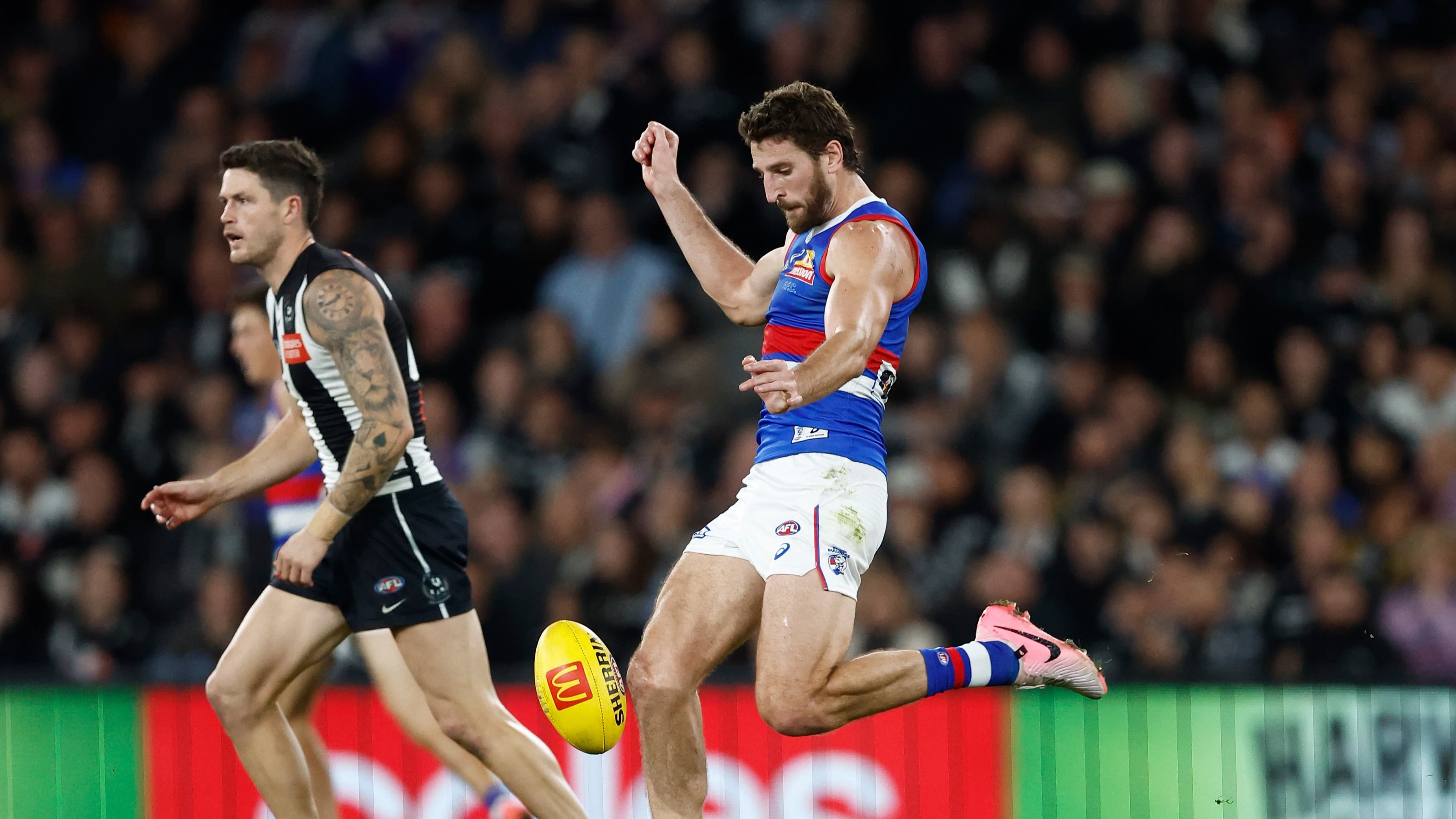 Dogs CEO addresses Bontempelli’s reported Collingwood meeting