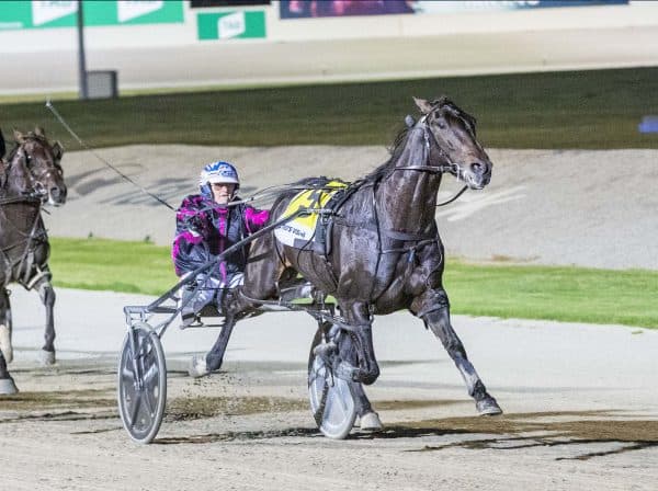 SEN Track: Tim O'Connor's Saturday night Harness Racing Tips at Melton (31/05)