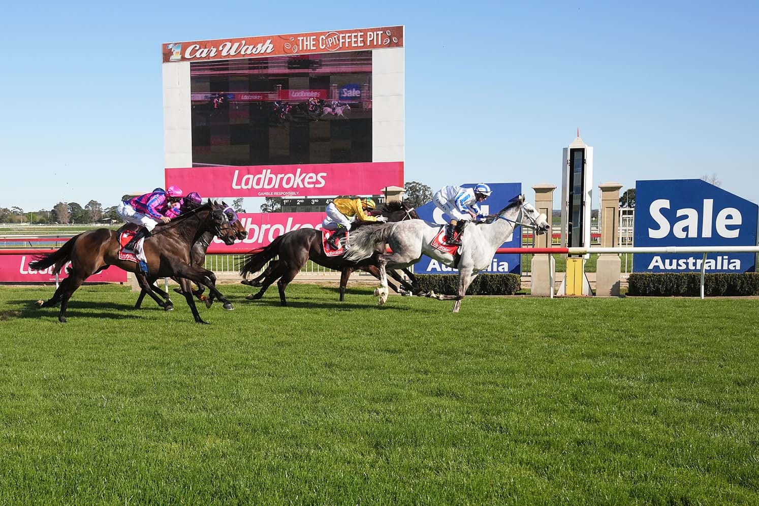 Thursday best bets from Luke & Gannon (08/01)