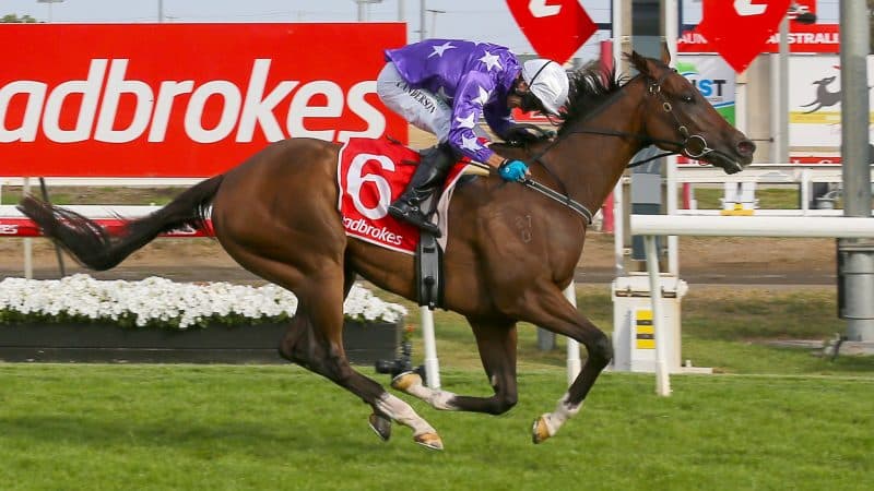 Tasracing's Friday best bets at Launceston (21/11)