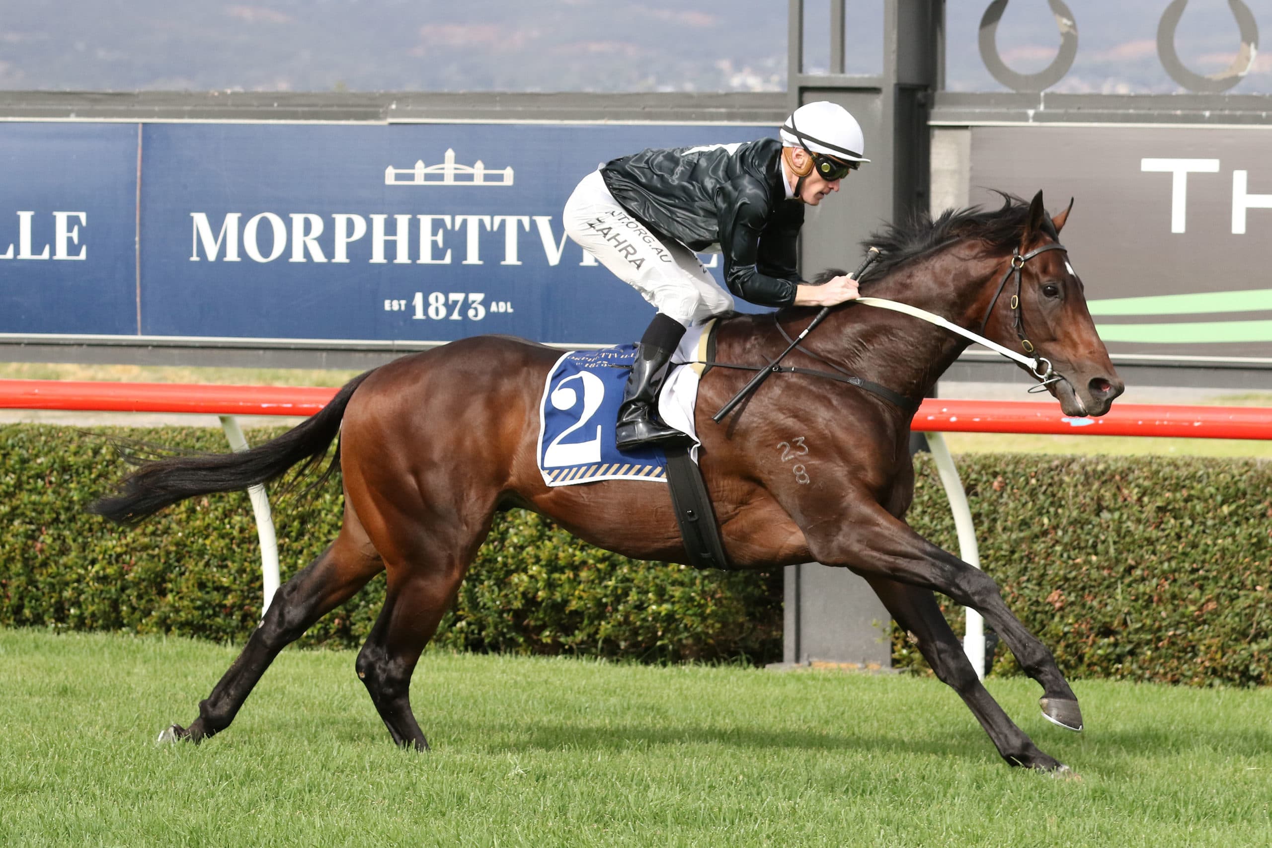 SENTrack: Punters Mate Saturday best bets at Gold Coast & Morphettville (10/05)