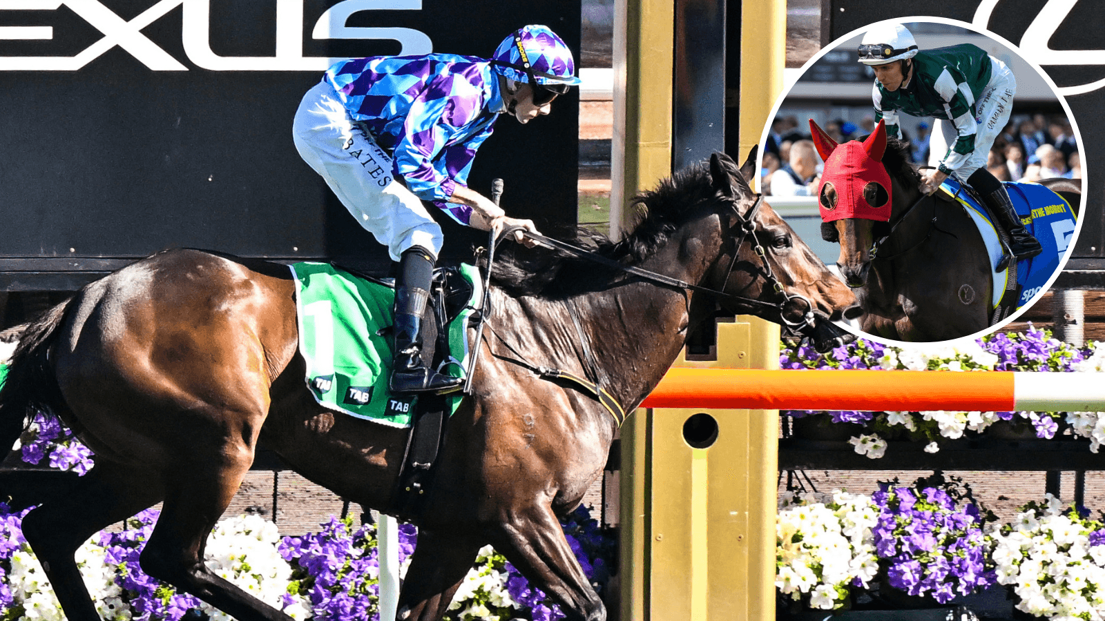 Treasure trainer’s Lane instructions for Jenni showdown