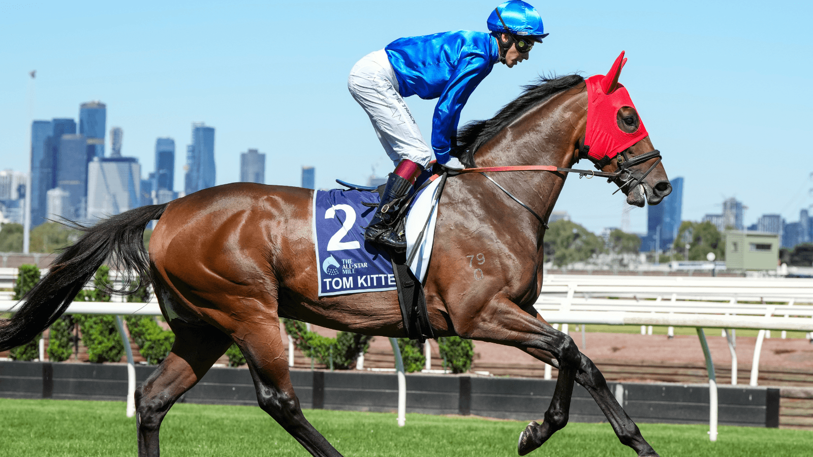 Ashman: Why Tom Kitten is a "great" bet for the Memsie Stakes