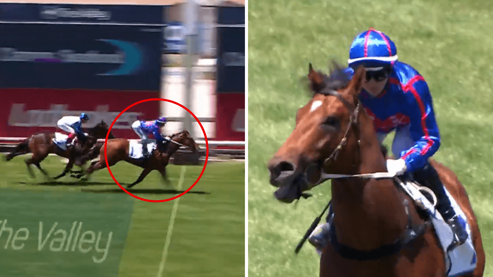 Why hyped colt "for the future" can win Blue Diamond