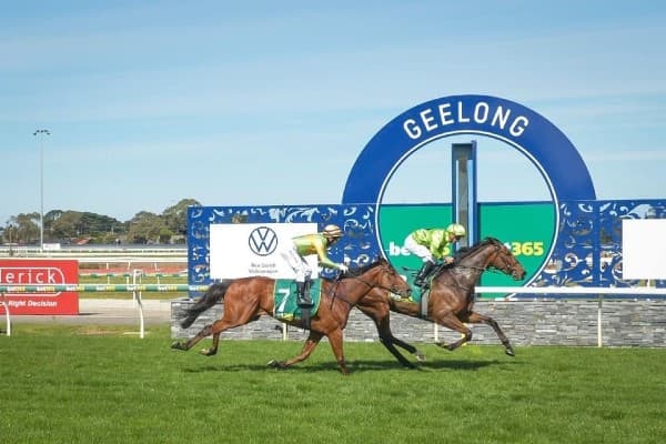 Thursday best bets from Gannon & Pfitzner (02/10)