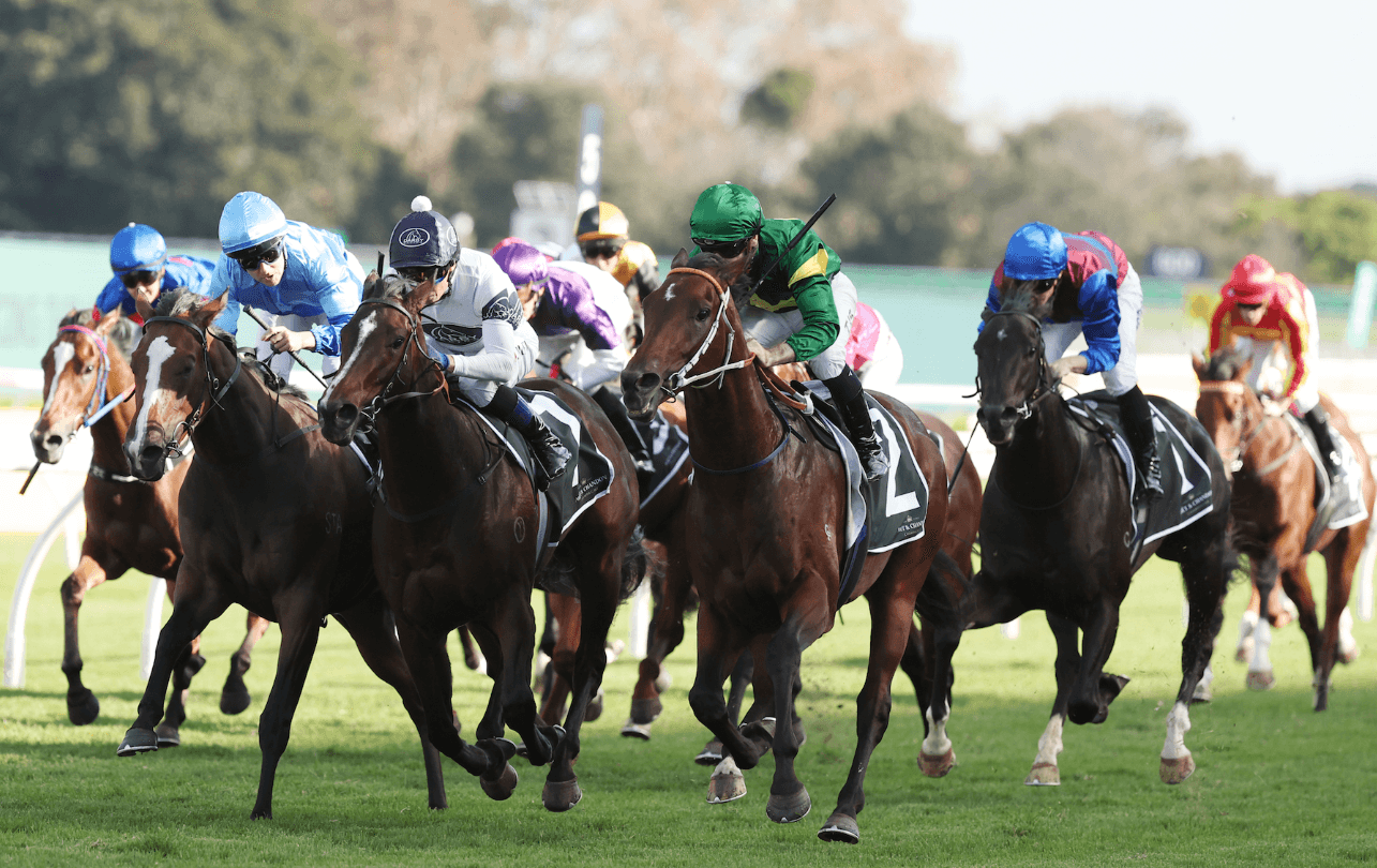 “Looks primed”: Gannon's Saturday best at Randwick (20/12)