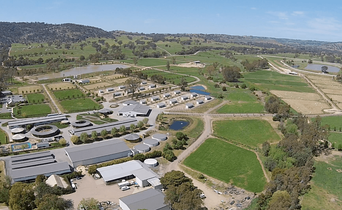 Hayes confirm "catastrophic" bush fire kills seven horses