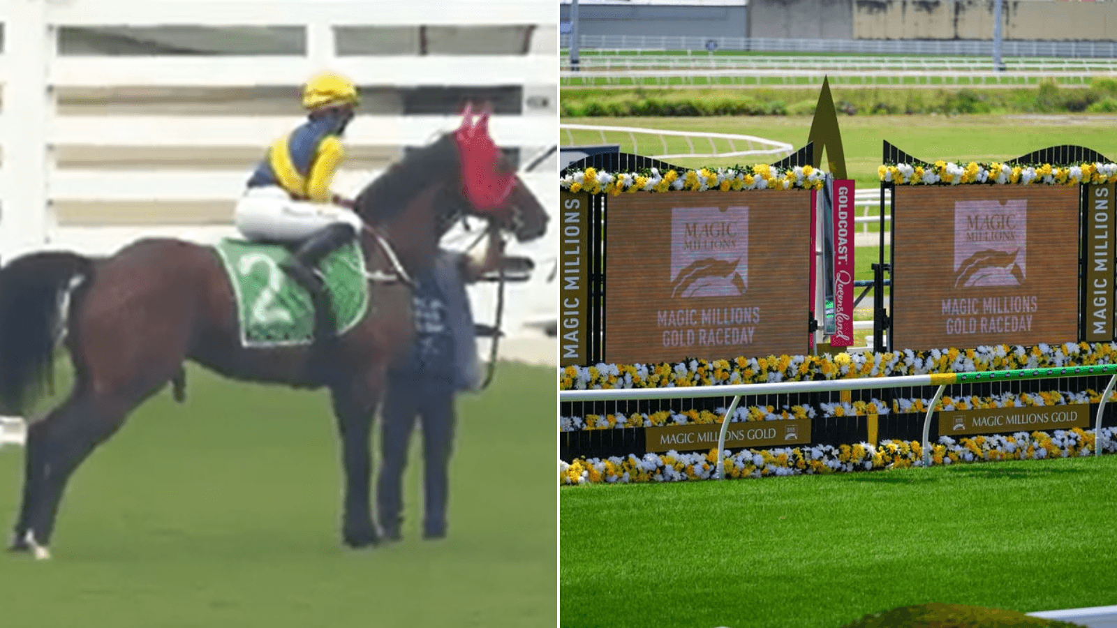 Magic Millions favourite in doubt with lameness