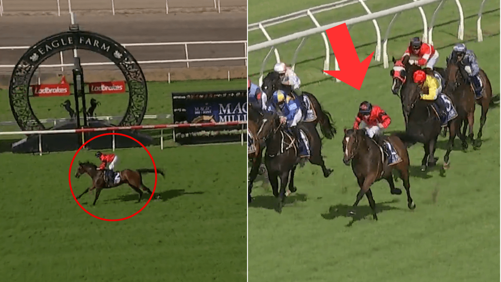 Berry: Ninja will "relish 1400m" of Magic Millions 3YO Guineas