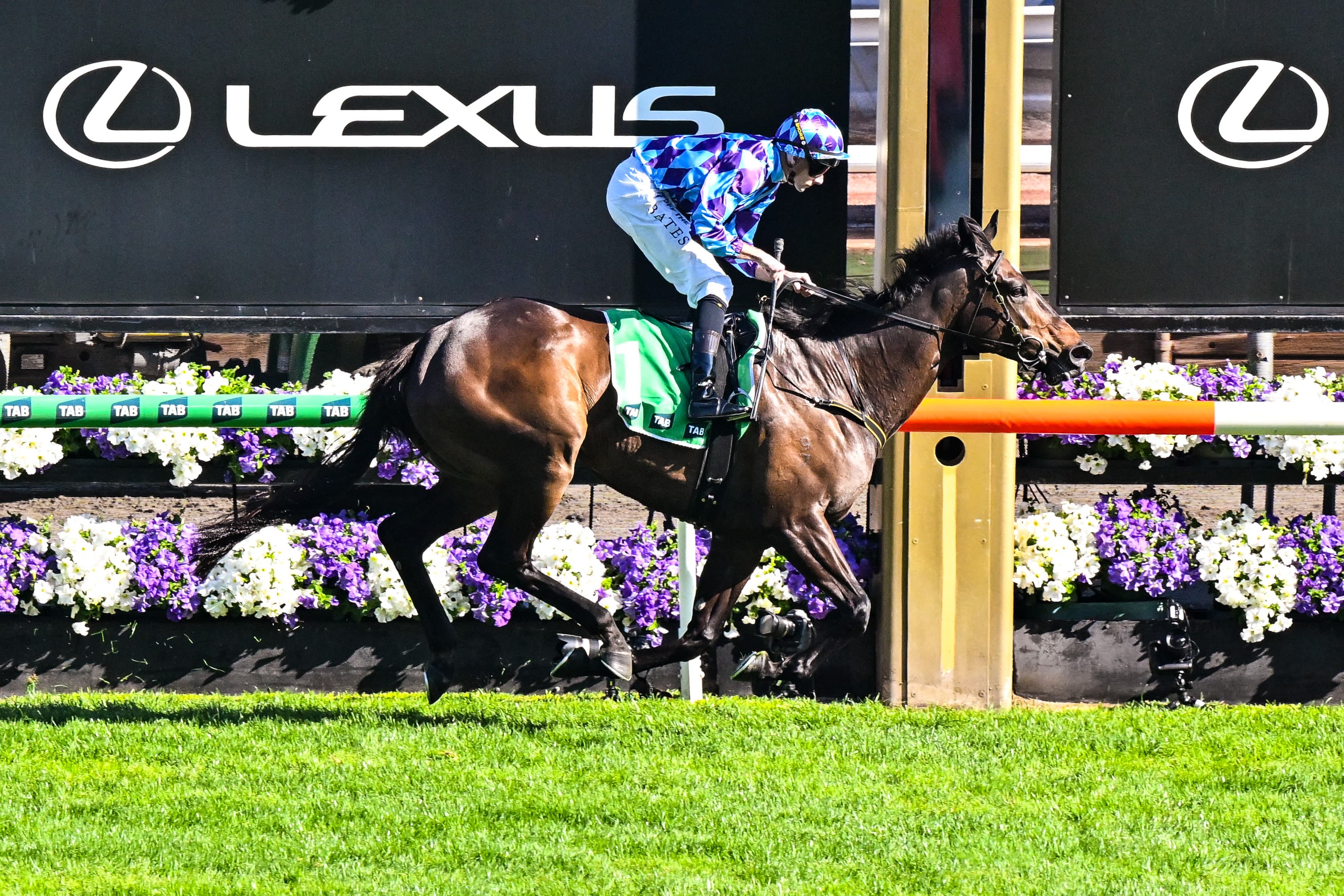 “I’m sure": Maher puts Jenni retirement questions to bed