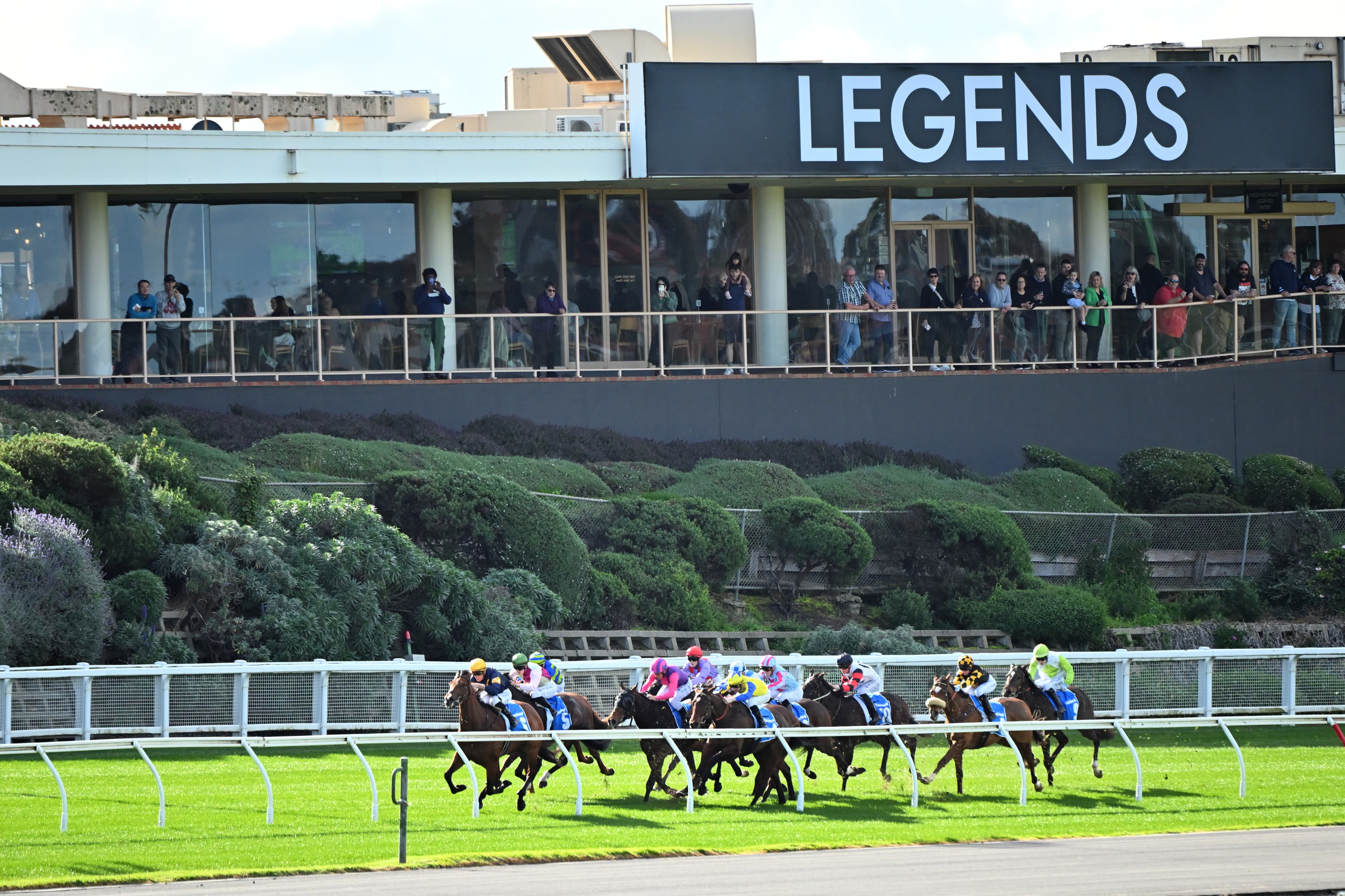 SENTrack: Friday best bets from Mitch Lewis & Campbell Brown (29/11)